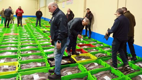 En primer plazo, un subastador, en la venta de merluza de volanta en la lonja de Celeiro, el 5 de marzo del 2026.