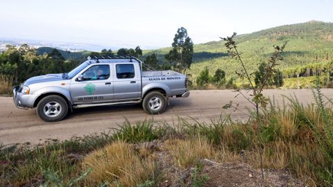 Recorremos una parte del monte Xiabre con la comunidad de montes de Cea