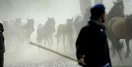 En el 2008 se instaur� el concurso, pero dur� poco tiempo.