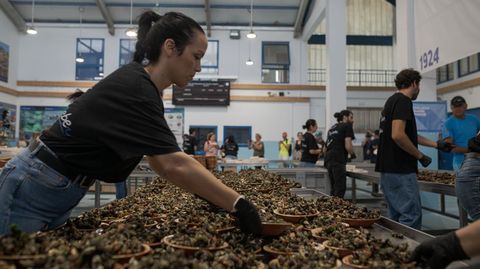 27 DE JULIO / FESTA DO PERCEBE DE AGUIÑO (RIBEIRA): A finales de julio esta parroquia marinera sirve miles de raciones de percebe, a la vez que significa el duro trabajo que implica arrancarlo de las rocas.
