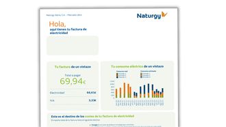 Una factura de la luz ficticia.