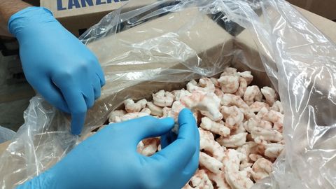 Gamb�n pelado elaborado para Lanzal