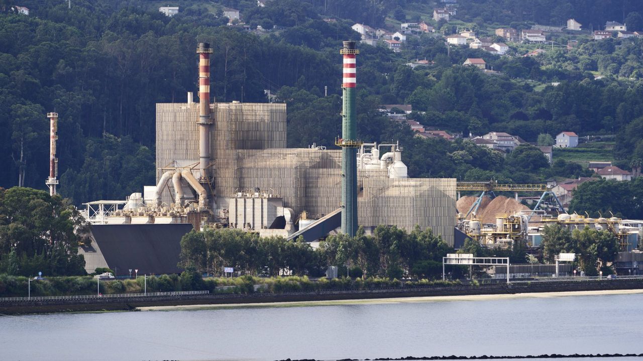 Ence pierde 17,1 millones hasta junio por temporales y huelgas