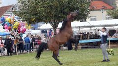 Imagen de archivo de la Feira Cabalar de Noia.