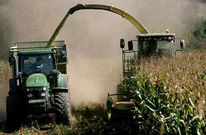 Deza produce 3 toneladas menos por hect�rea de ma�z forrajero que Lugo y 4,5 menos que A Coru�a.