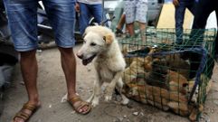 Un vendedor con un perro a la venta. 