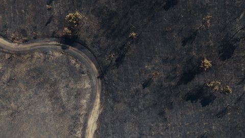 Tierra quemada en Cualedro