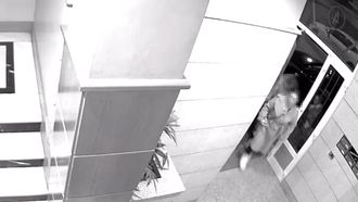 Graban la entrada y la salida de dos ladronas en un edificio de Lugo