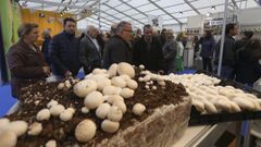 Ordes se rinde a los encantos del champi��n