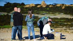 Droga sobre la arena en Cambados