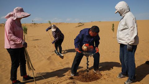 Trabajos de forestaci&oacute;n en el desierto de Kubuqi, en la regi&oacute;n china de Mongolia Interior.