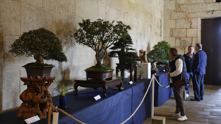 Imagen de una edici&oacute;n anterior de la exposici&oacute;n de Padr&oacute;n