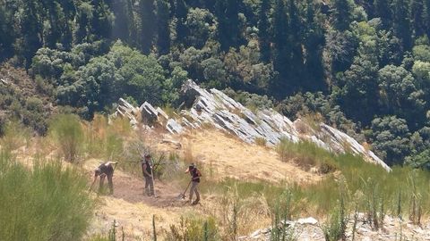 Trabajos de desbroce previos a las nuevas excavaciones en el castro de Penas do Castelo