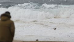 La huella de la borrasca Helena en Ferrolterra, Eume y Ortegal