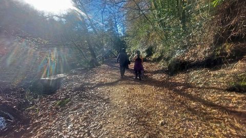 Por la margen contraria a la playa fluvial de Pontevedra el sendero es ms agreste y obliga a sortear algunos obstculos. 