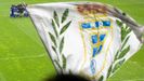 Aficin Real Oviedo Nastic Carlos Tartiere bandera