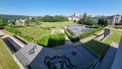 Vista de la vaguada del campus, con el anfiteatro a la izquierda
