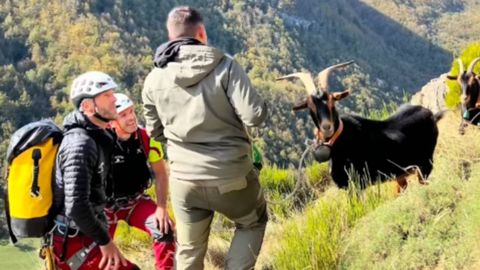 Un instante del rescate de las cabras de Iv�n D�az