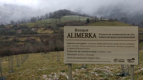 Alimerka plantar� 3.600 �rboles aut�ctonos