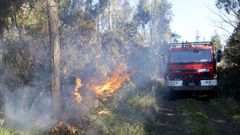 Imagen de un incendio forestal (fotografa de archivo)
