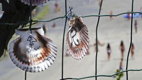 Playa de Aguete. Conchas de zamburias con inscripciones de loe turistas en O Rincn de Poty