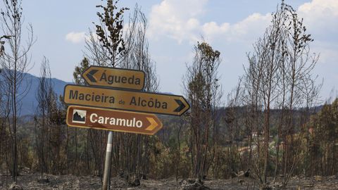 Se�ales informativas en un �rea quemada de Vouzela, en el distrito de Viseu