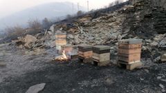 La Agrupaci�n Ap�cola Galega asegura que es pronto para hacer balance de colmenas quemadas, pero apuntan como m�nimo a mil