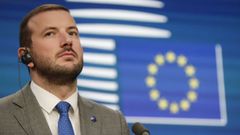 Virginijus Sinkevicius