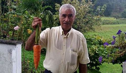Domingo exhibe una zanahoria de 650 gramos. 