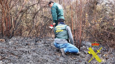 Agentes del Seprona investigan un incendio.Agentes del Seprona investigan un incendio