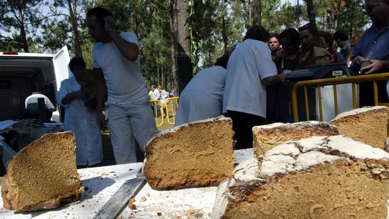 La romer&iacute;a es el parque forestal de Cotogrande