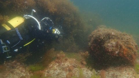 Cata arqueolgica en la ra de Viveiro