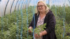 Raquel L�pez Buyo, en uno de los tres invernaderos de su explotaci�n agr�cola