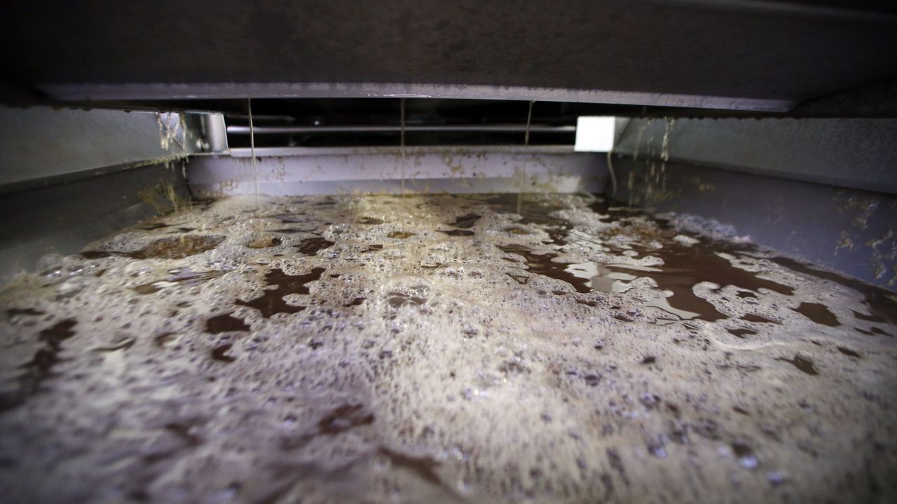 El tufo del vino o la muerte dulce: cuándo el trabajo en bodega se vuelve peligroso