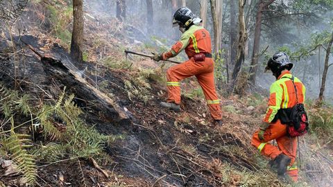 Dos bomberos trabajan en la extincin del incendio forestal. ARCHIVO