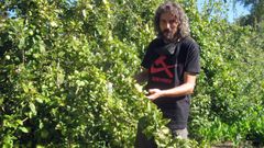 Gabriel L�pez espera que la cosecha de manzanas de este a�o sea la primera de su producci�n de sidra