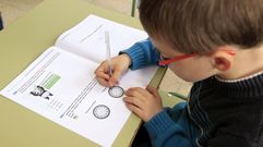 Un ni�o del CEIP Lois Tob�o, de Viveiro, realizando las pruebas de la rev�lida