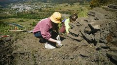 Imagen de archivo de las excavaciones en Valencia do Sil