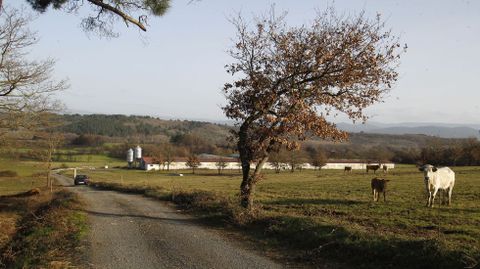 Los ladrones citaron a la vctima en un paraje solitario de la parroquia de Tor, cerca de una granja