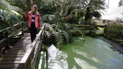 La Fundaci�n Sales jard�n bot�nico abre temporada. 