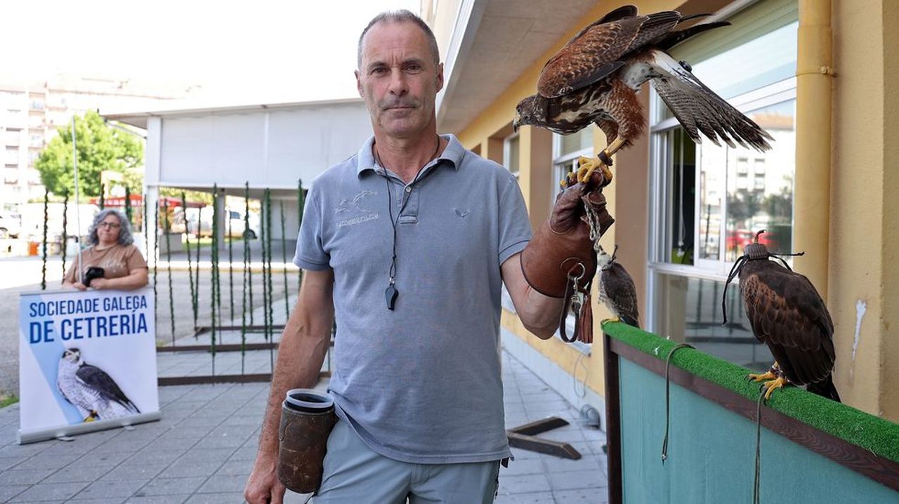 El Félix Rodríguez de la Fuente barbanzano que recorre Galicia y Asturias con sus aves