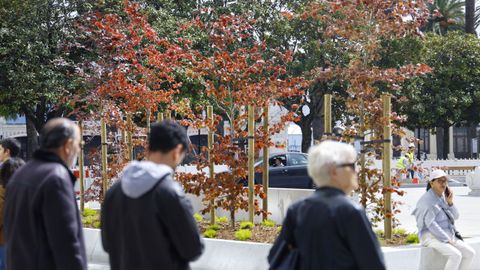 Plantaci�n de las primeras cuatro hayas rojas en el entorno inmediato del Obelisco
