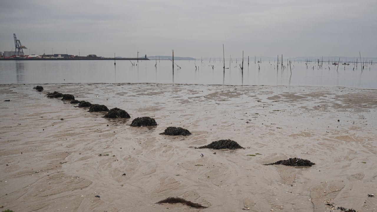 Mar habla de un nuevo «episodio excepcional» y esperará a conocer el alcance real para tomar medidas