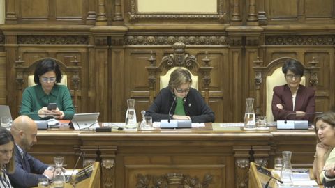 Pleno del Ayuntamiento de Gij�n 9 de Octubre