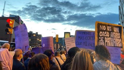 Manifestaci�n del 8M en Gij�n