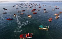 El trabajo en el libre marisqueo se interrumpi� al constatar la Xunta la escasez de recurso. 