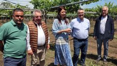 La conselleira de Medio Rural, en el centro, durante su visita a un vi�edo da�ado por el granizo en Ribadumia