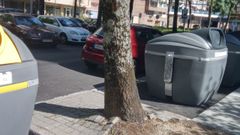 Ecomapeo en la ciudad de Pontevedra