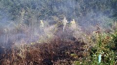 Los equipos de extinci�n controlaron el fuego con rapidez.