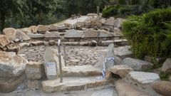 Termas de Outariz, vacas.